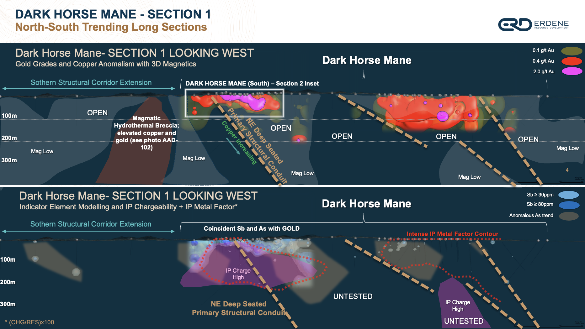 DARK HORSE MANE – SECTION 1