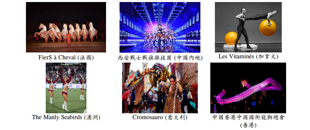 中國內地及國際表演隊伍