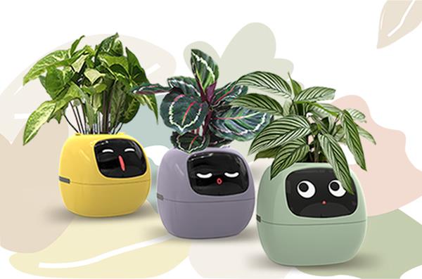 Featured Image for PlantsIO Technology