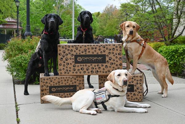 Future Service Dogs with BEDGEAR Dog Beds 
