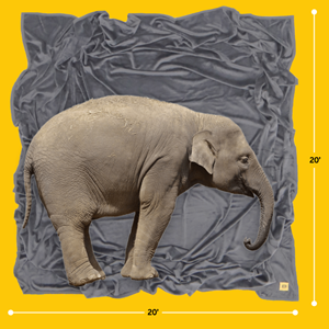 Image shows a 200 square foot blanket and an elephant, the blanket is larger than the elephant.