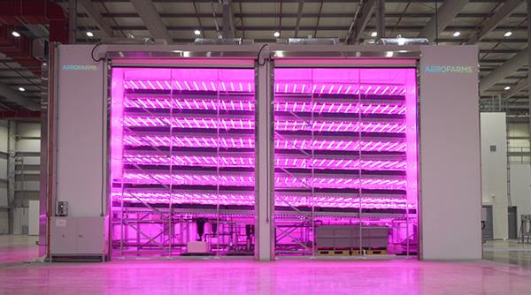 AeroFarms AgX Now Open: World's Largest R&D Indoor Vertical Farm