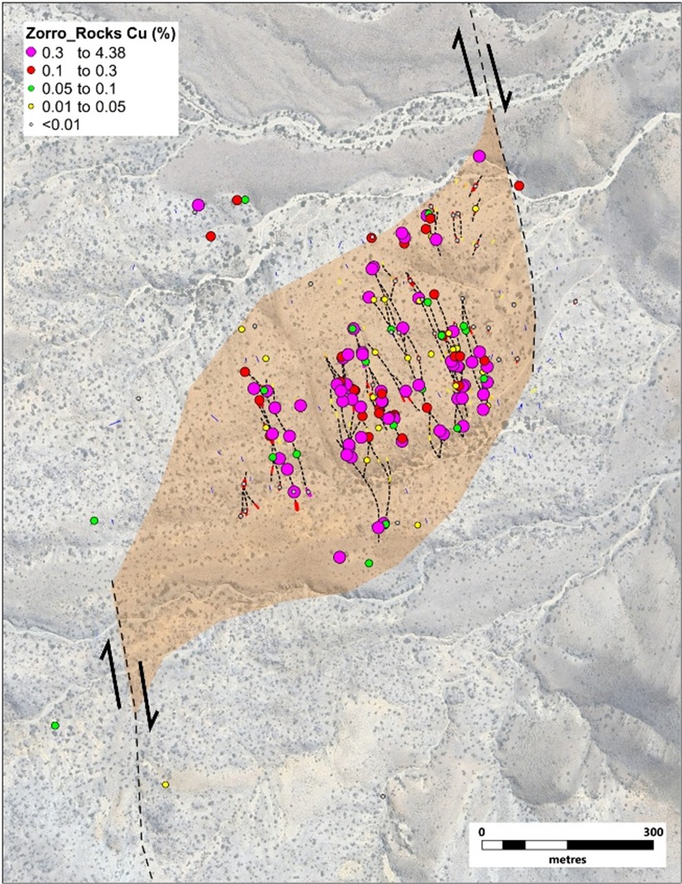 Sable Confirms Extensive Outcropping Copper Mineralization within Multiple Structural Corridors at the Zorro Cu Target, Zorro Project, San Juan, Argentina
