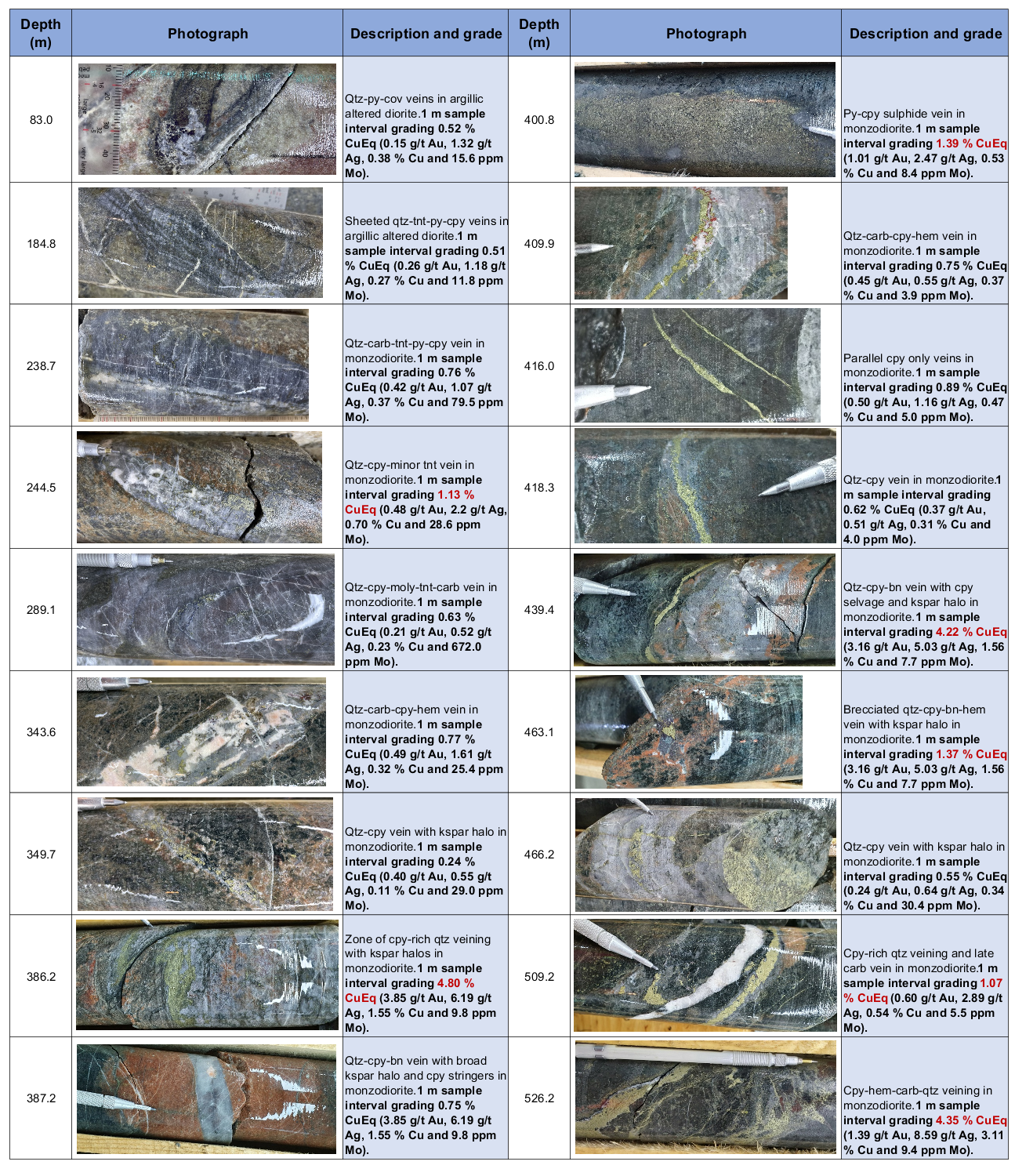 Photos of the diamond drill core from Bg21008 showing the typical styles of veining, mineralization and alteration observed throughout the hole.