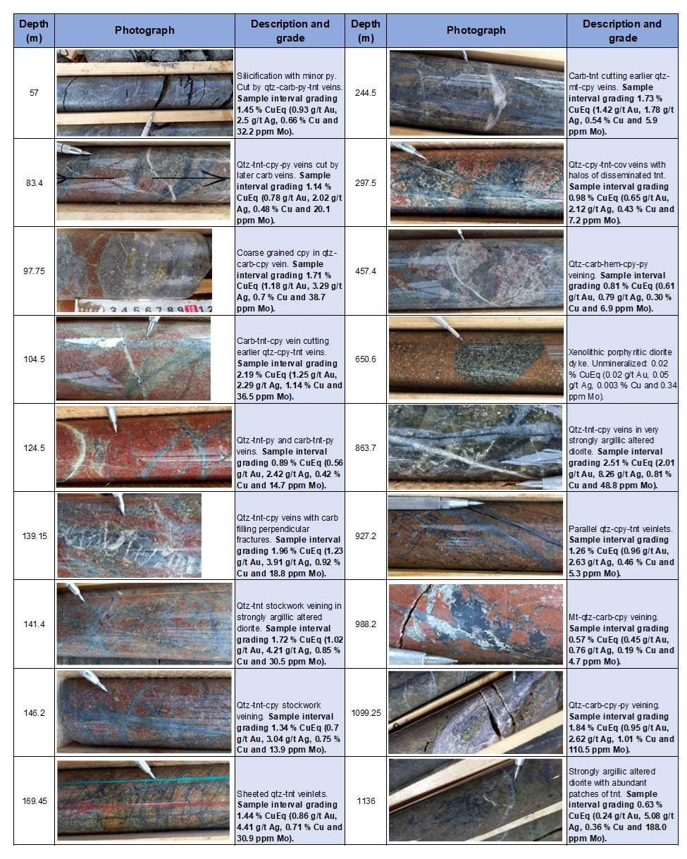 Photos of the diamond drill core from Bg21004 showing the typical styles of veining, mineralization and alteration observed throughout the hole.