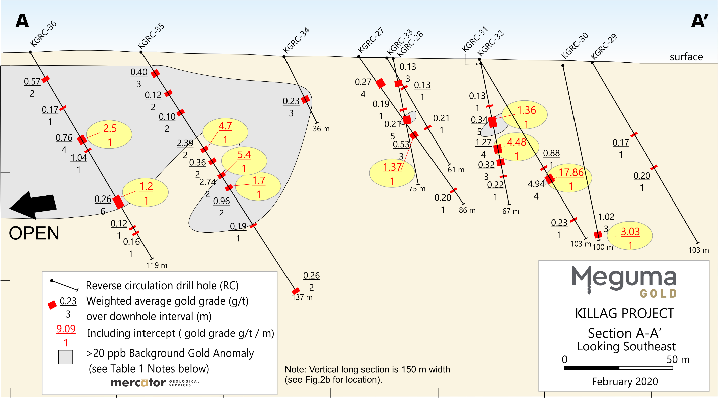 Figure 2a