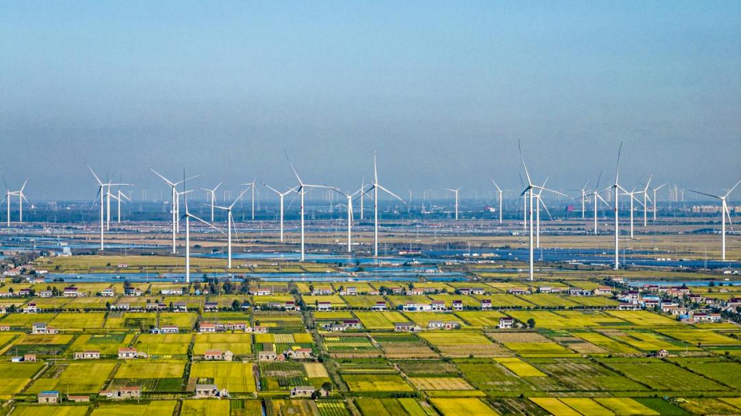 Leveraging its abundant scenic resources and ecological strengths, Yancheng is building a benchmark for zero-carbon industries.: Leveraging its abundant scenic resources and ecological strengths, Yancheng is building a benchmark for zero-carbon industries.