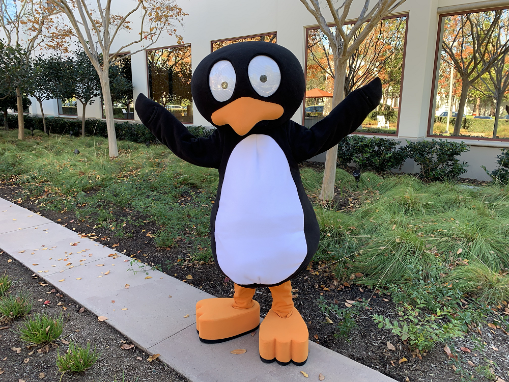 JiJi, the ST Math penguin, is delighted after hearing that the program has been awarded the research-based design product certification from Digital Promise!