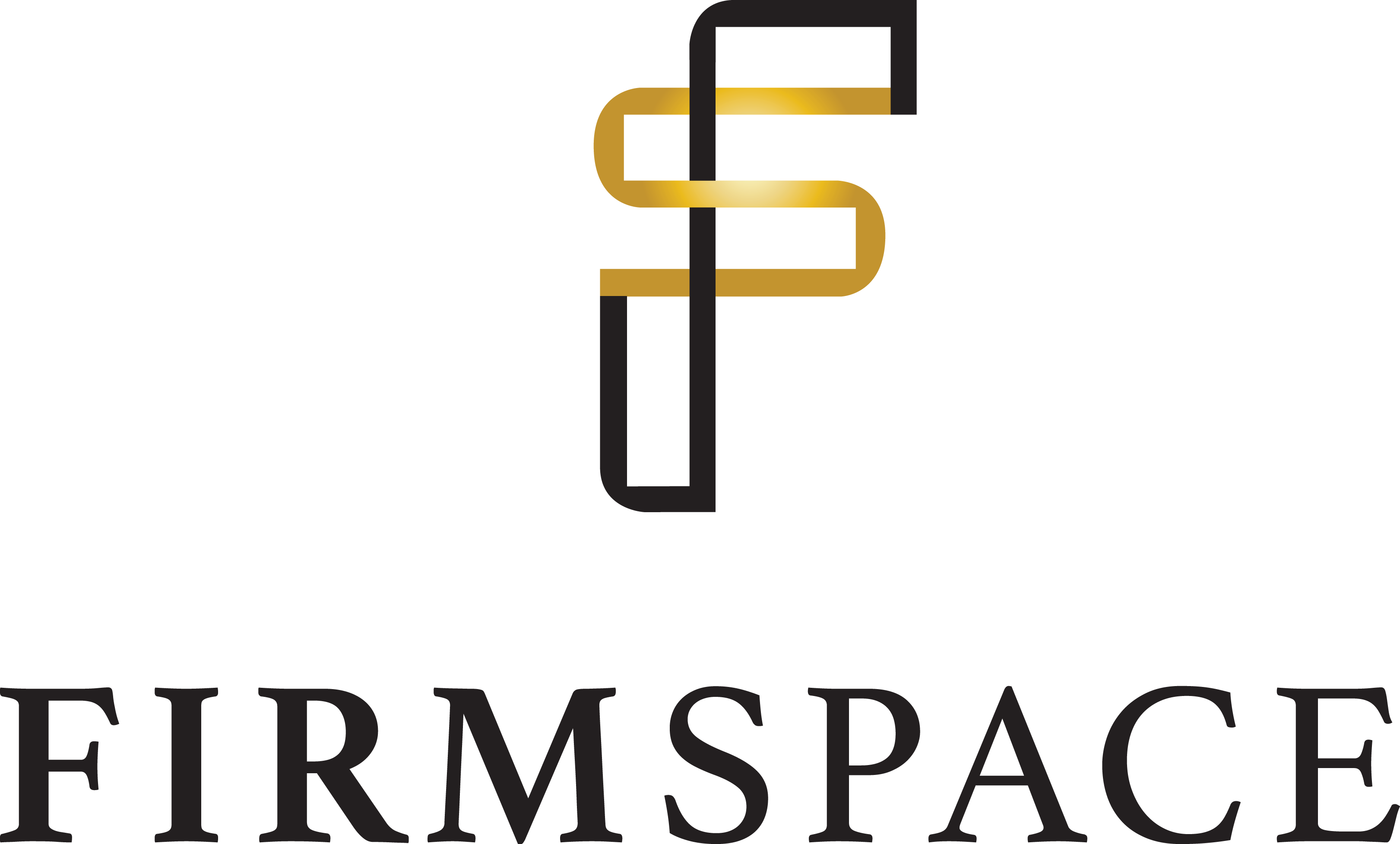 FS - Firmspace  LOGO BLK_GLD (1).png