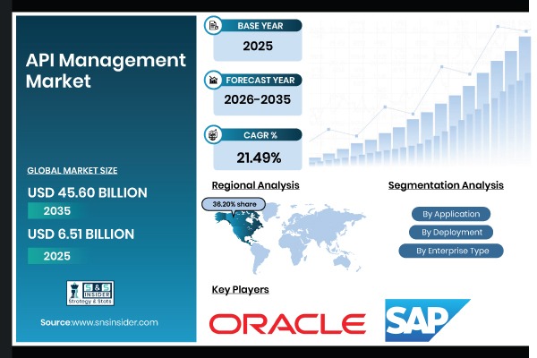 API Management Market