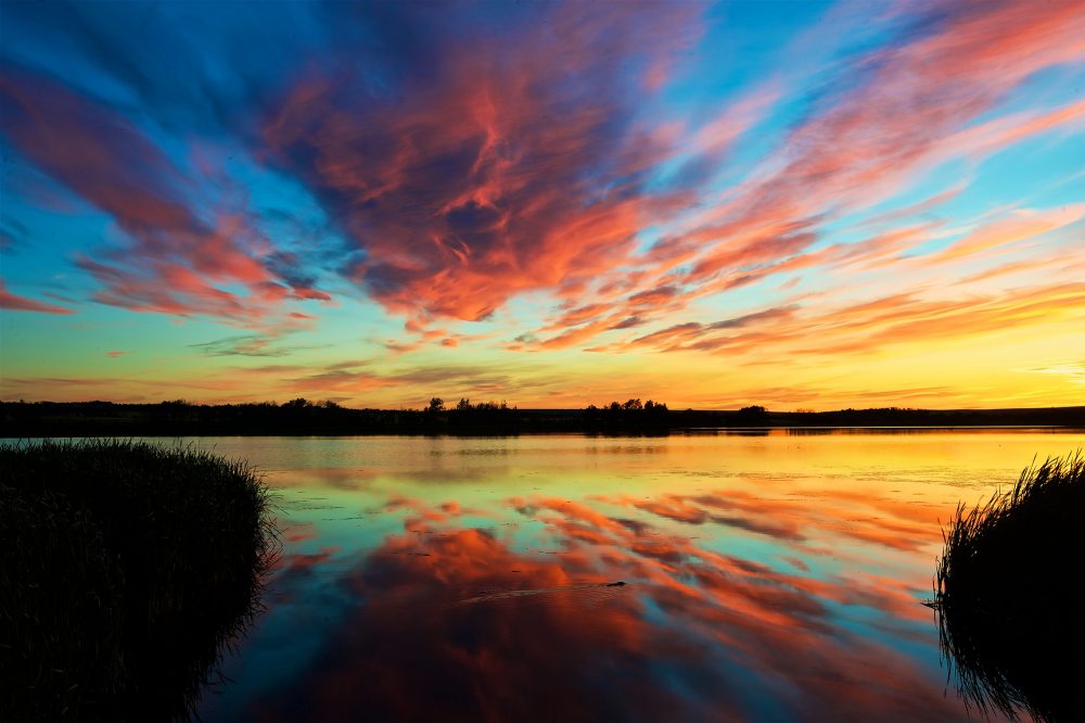 Wetland Sunset 