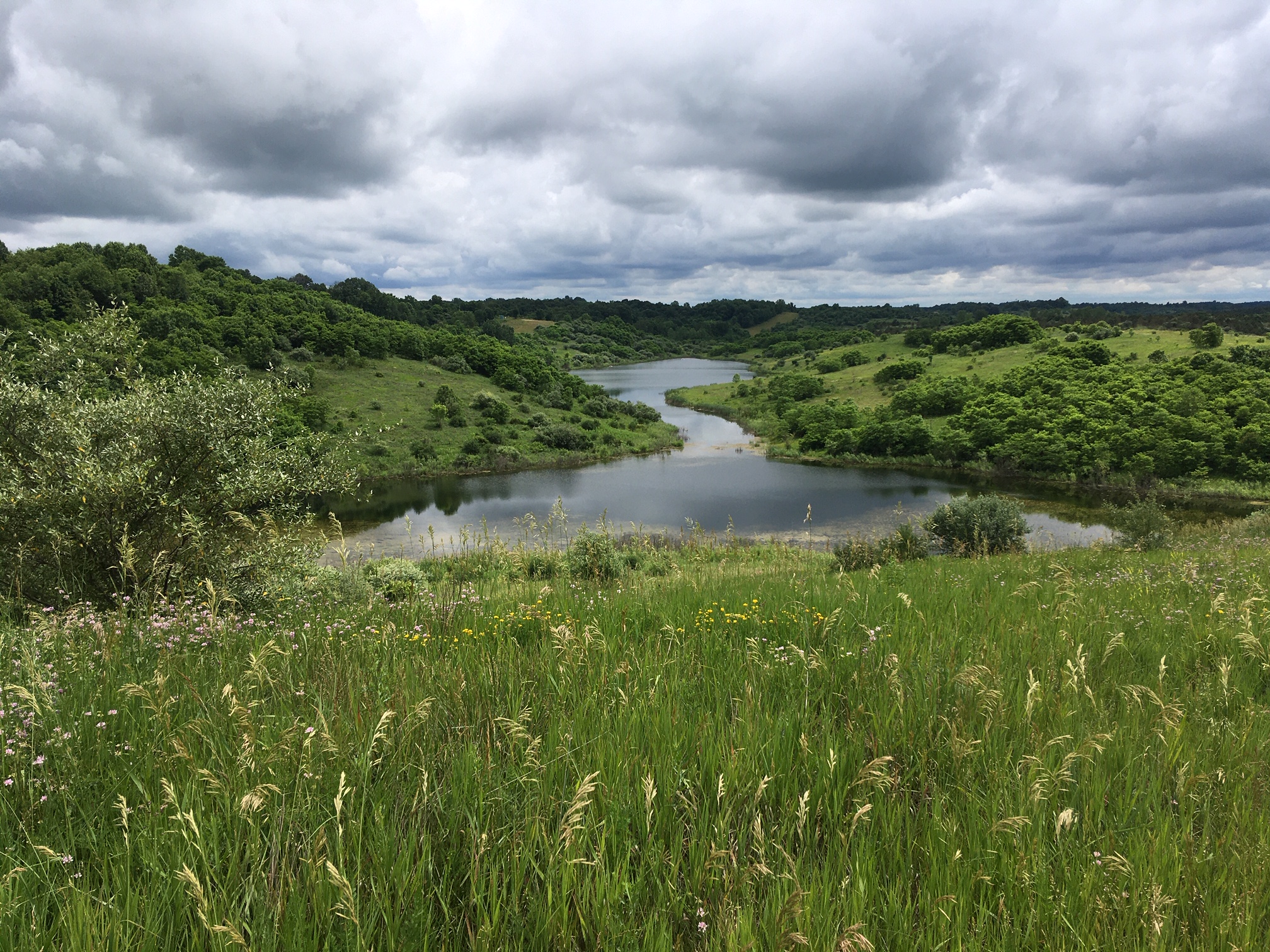 Caption: Appalachian Hills Wildlife Area
Credit: Ohio Department of Natural Resources