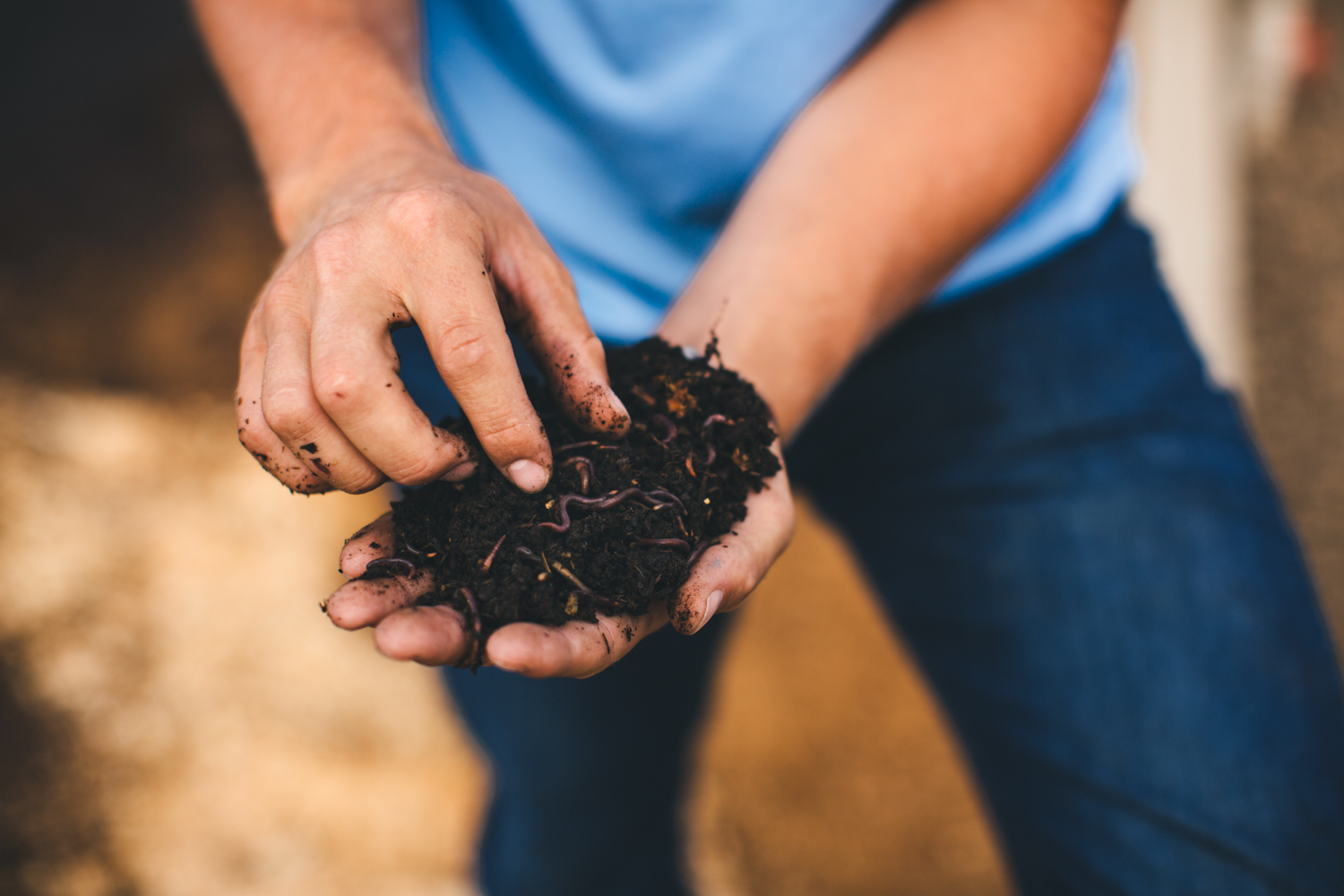 The Digestive Power of Worms