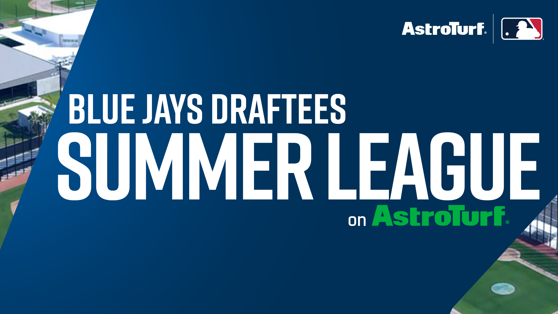 blue jays art header copy