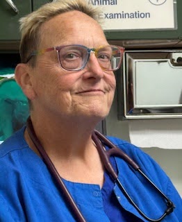 Veterinary Expert Dr. Joyce Heideman of Lansing Explains How to Choose the Right Veterinarian for HelloNation