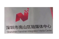 Shenzen logo.PNG