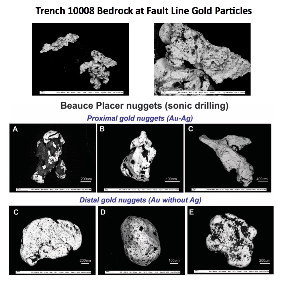 SEM Gold 3 Types