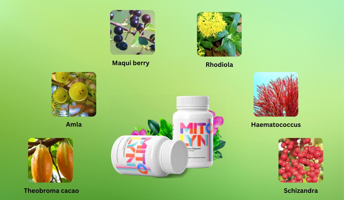 Mitolyn main Ingredients