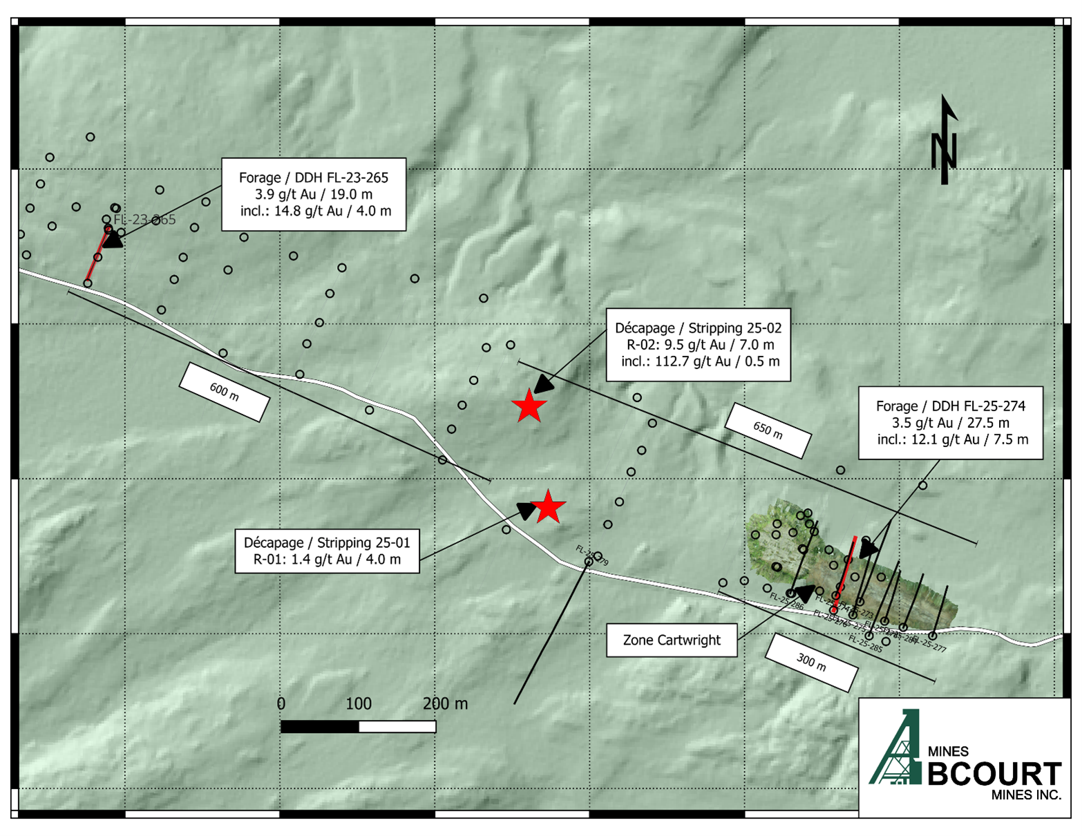Figure 3 image