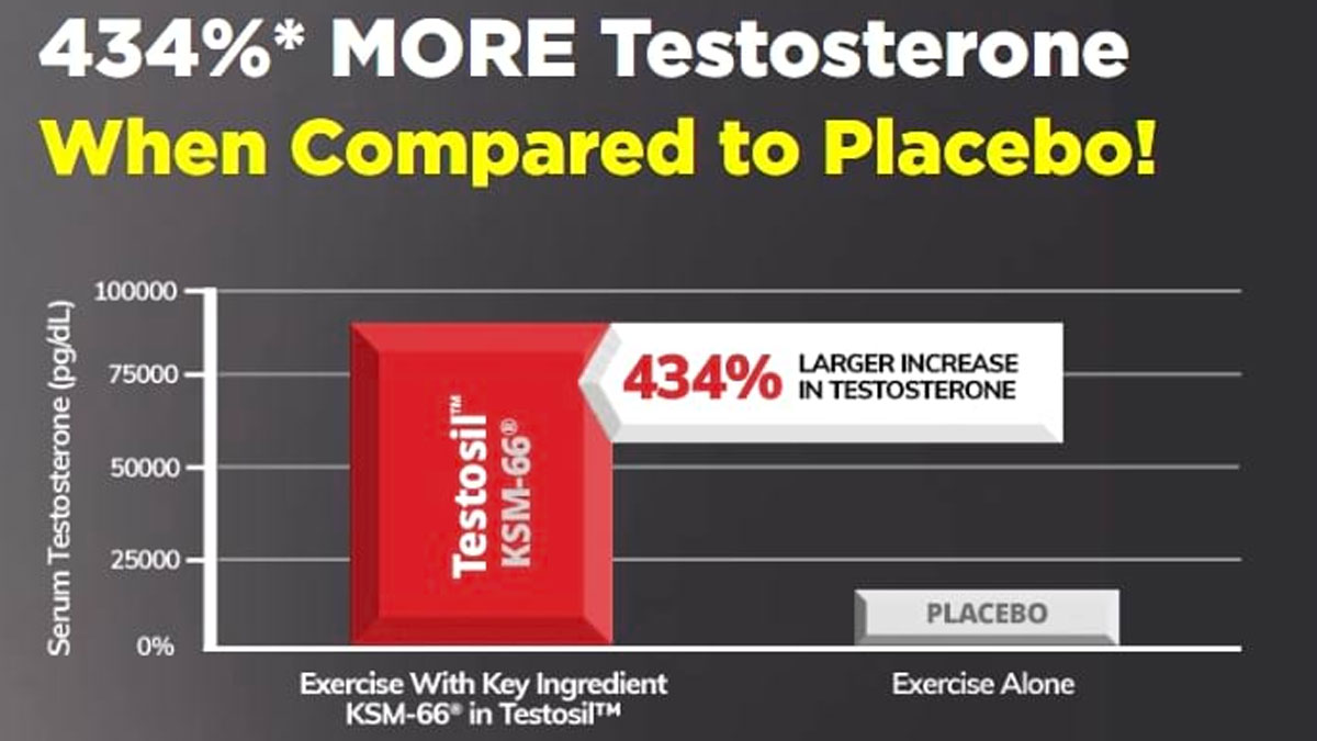 testosil - KSM-66