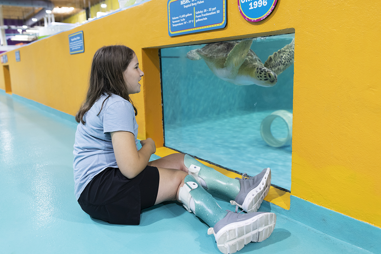 Ripley’s Aquarium Welcomes Sea Turtle “Bandit” and Special