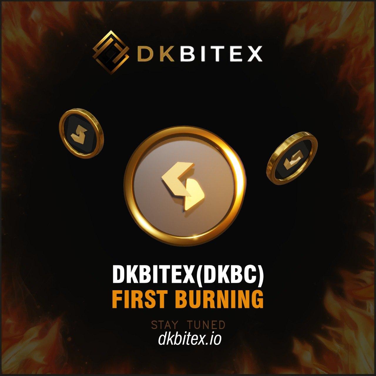 DKBitex - featured