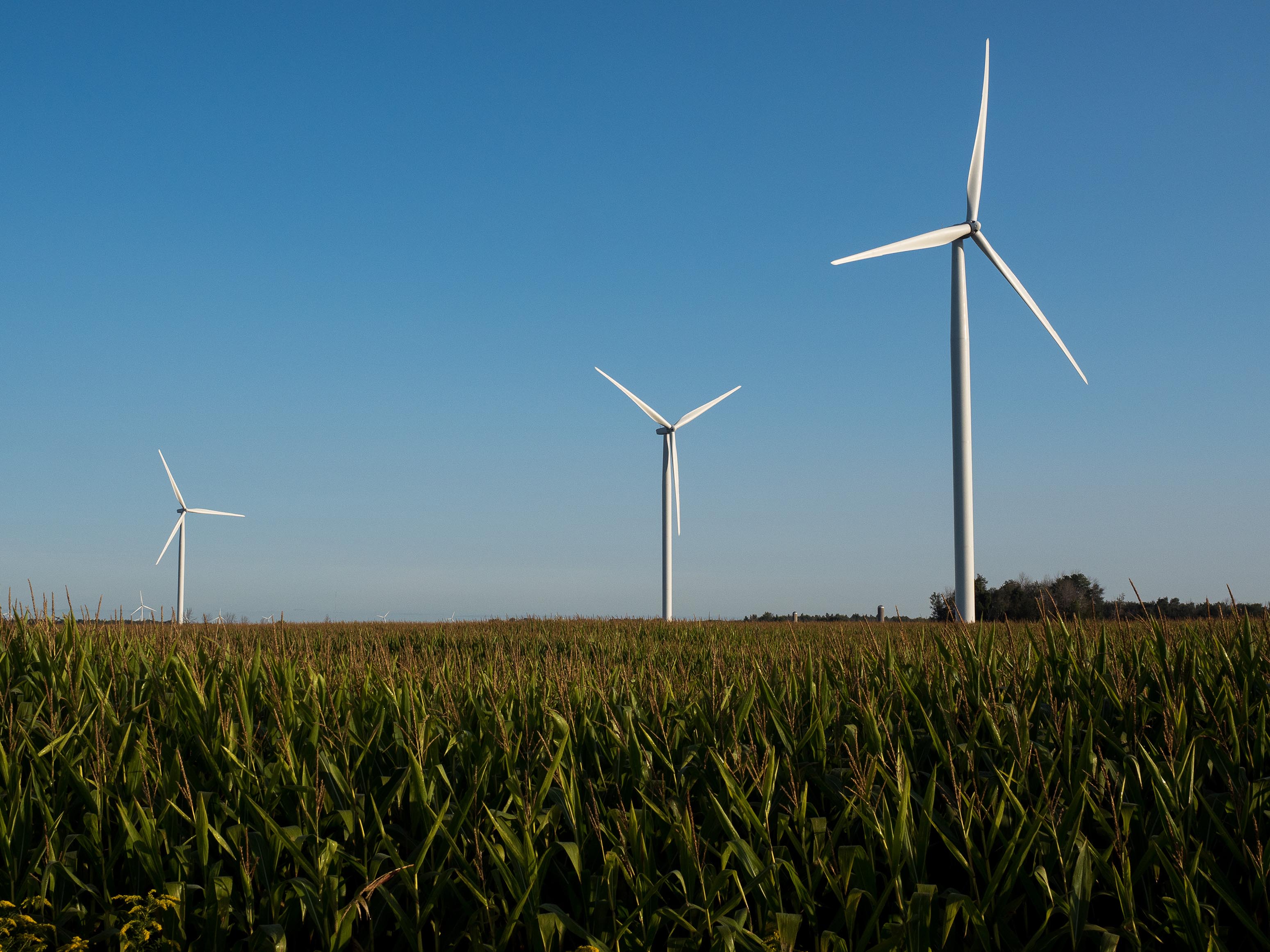 Turbines at DTE Energy's Pinnebog Wind Park in Huron County, Michigan. Pinnebog Wind is part of DTE Energy's MIGreenPower program.