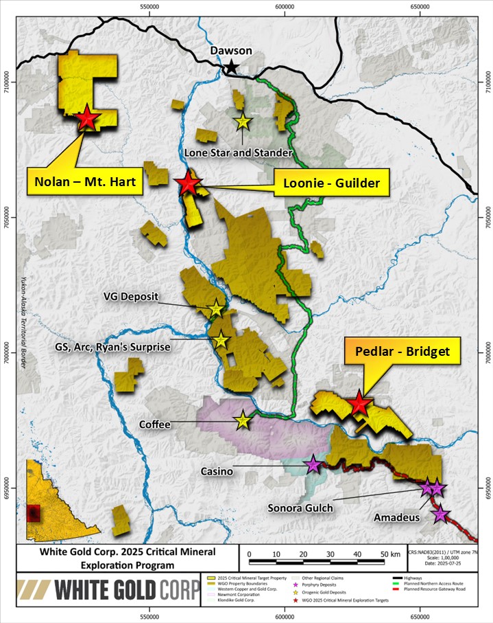 Figure 1 image