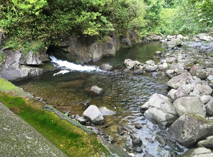 Before 2018 Hurricanes Damage