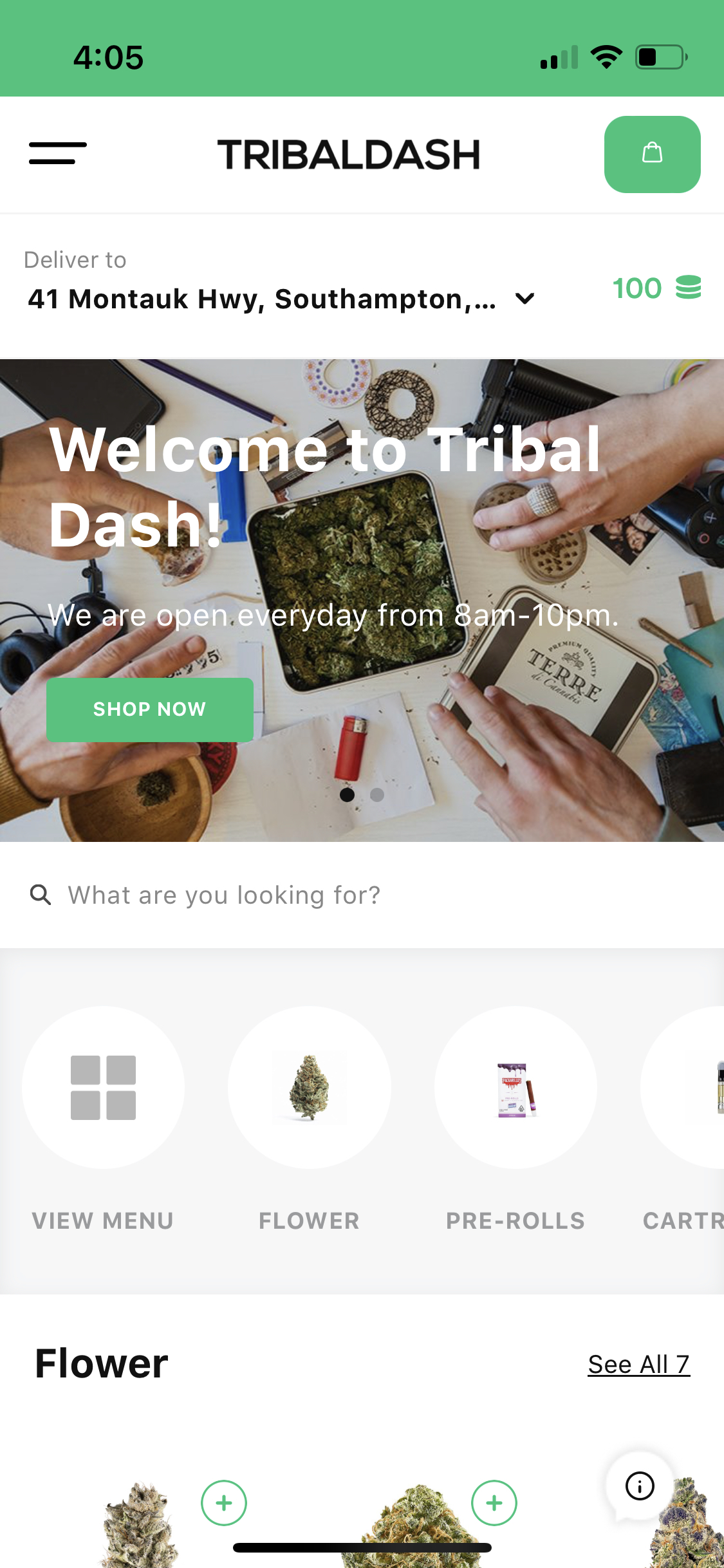 TribalDash.com Mobile Version Screenshot