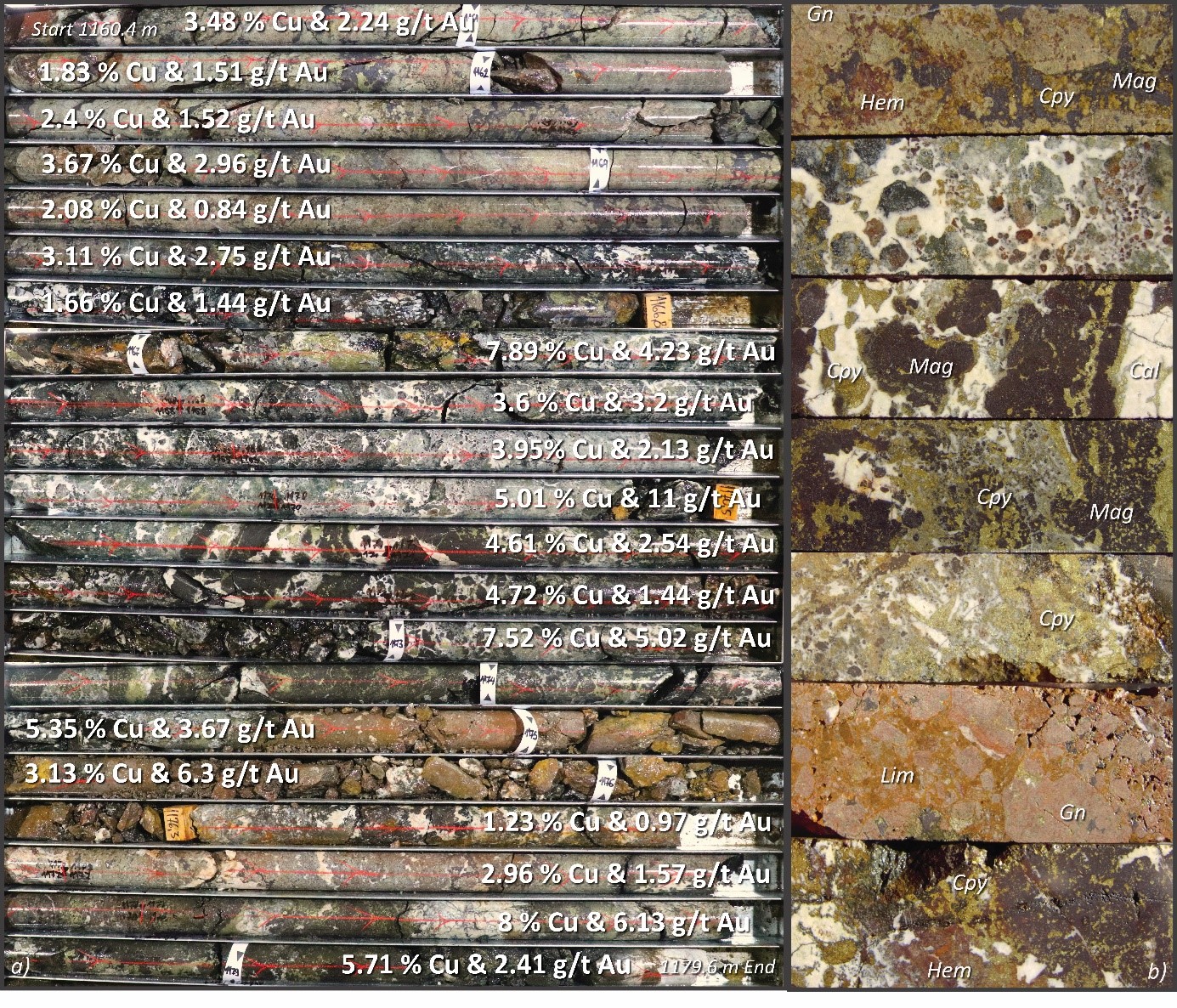 Images showing the core photos of Cu-Au manto skarn mineralization from hole DPDD012, within the interval reporting 26 metres at 3.54% Cu and 3.03 g/t Au from 1155 metres downhole