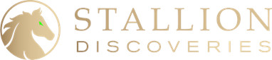 Stallion Discoveries logo.jpg