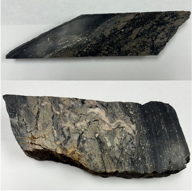 Polished megascopic samples from the Horse Zone and a polished core from drill hole 2023.