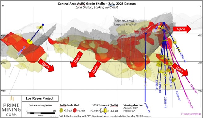 Central Area long section with drill holes highlighted