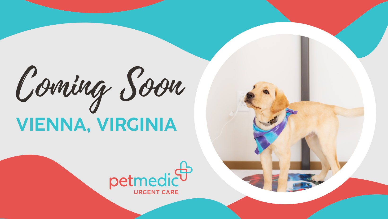 PetMedic Urgent Care Vet Clinic ouvrira sa première Virginie