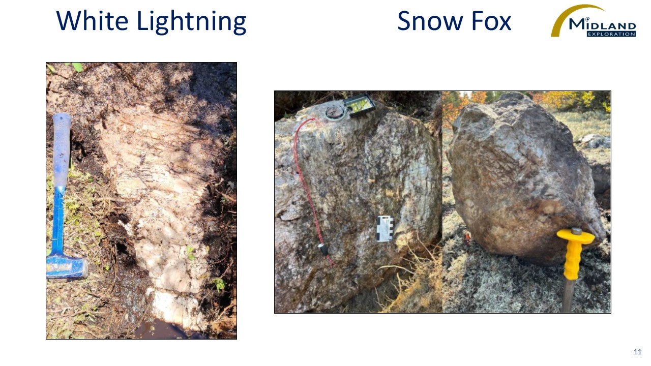 Figure 11 White Lightning and Snow Fox Showings