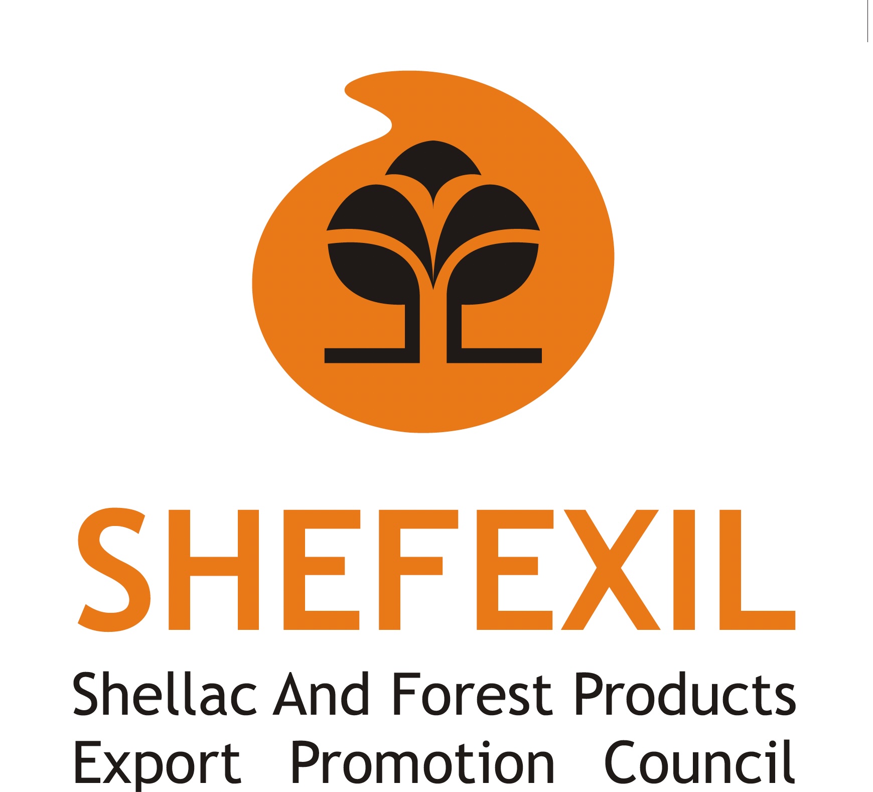 SHEFEXIL