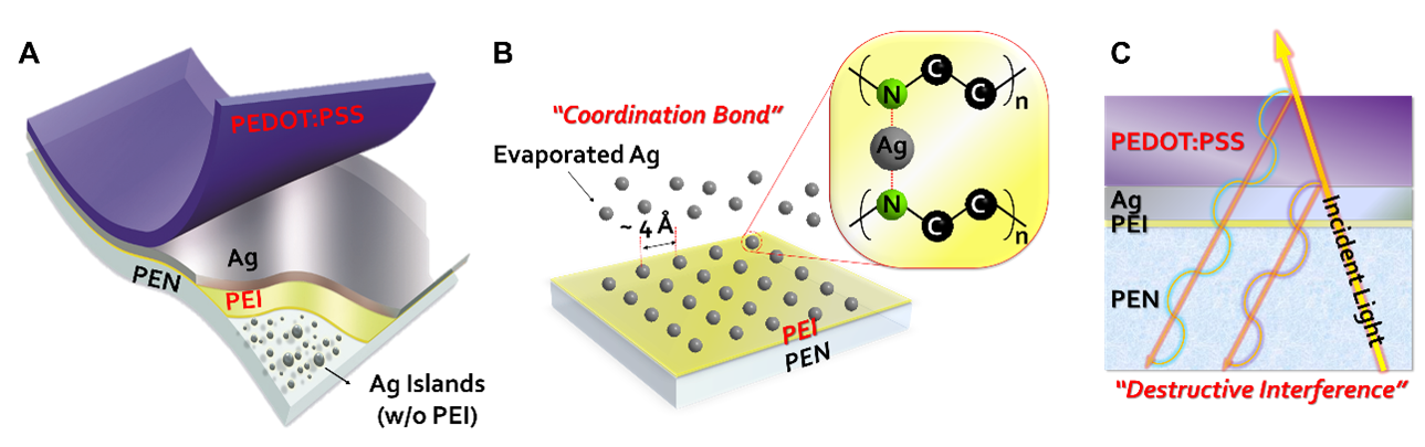 Figure 1 Schematic illustration of the transparent electrode