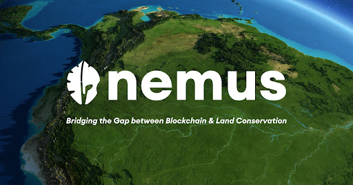 Featured Image for Nemus