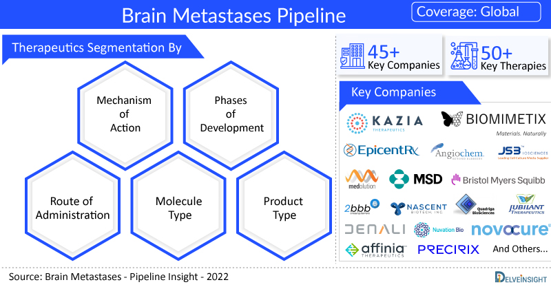 extremely-robust-brain-metastases-pipeline-featuring-45
