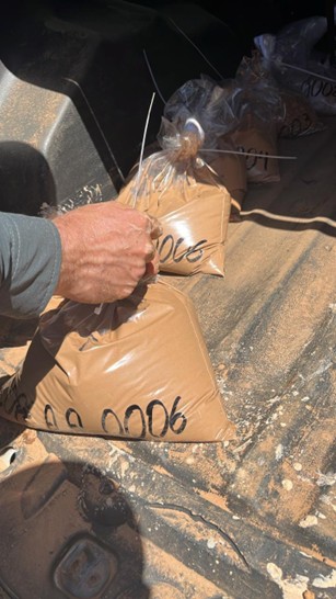 Soil samples collected from the Copeçal Gold Project's eastern anomaly during the Auger Drill program