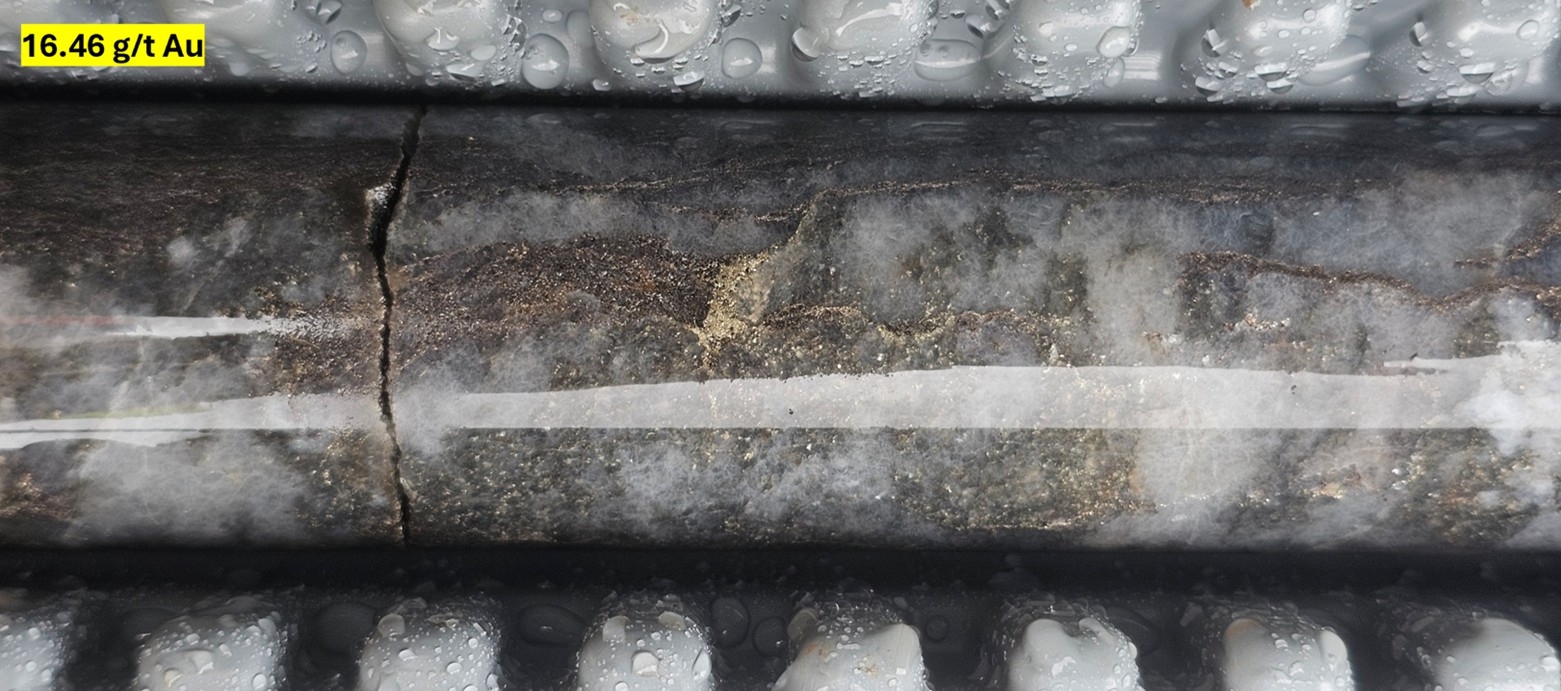 Strong silicification and pyrrhotite-pyrite alteration in BBH-03 at 47 m down hole 