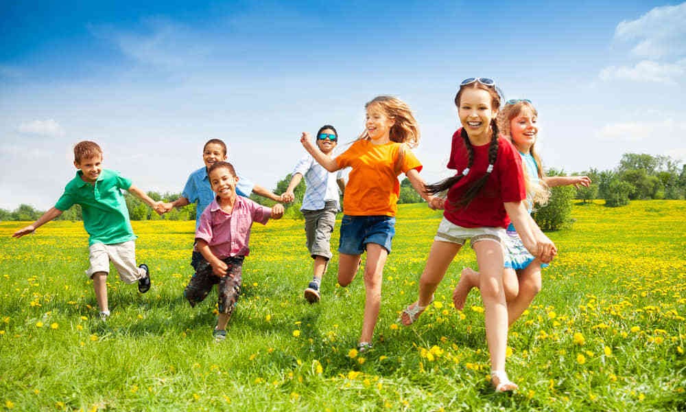 Petsboro BunnyPal Reviews