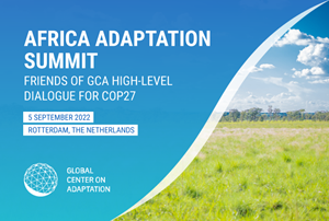 Africa Adaptation Summit