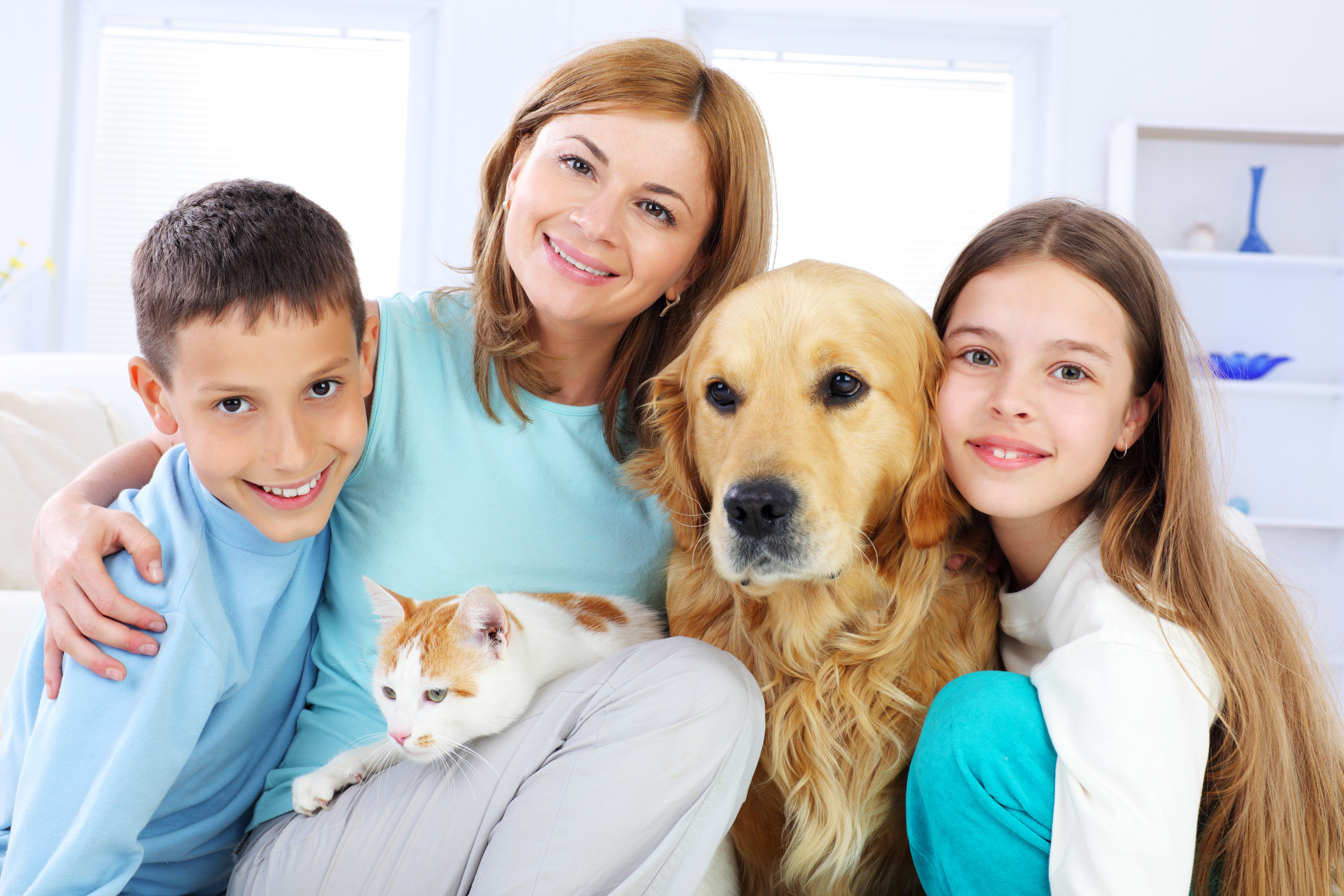 Les animaux de compagnie font partie de la famille