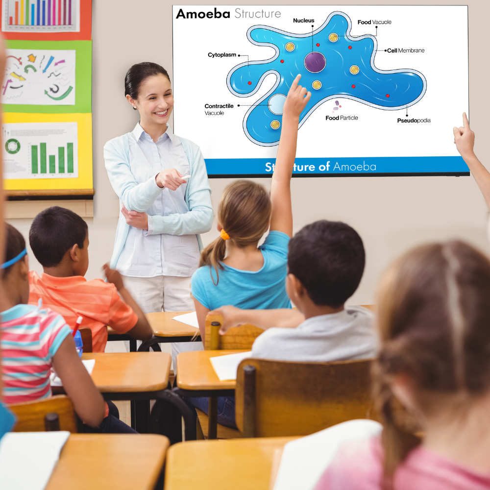 Add interactivity to any classroom with SHARP’s award-winning Interactive boards.