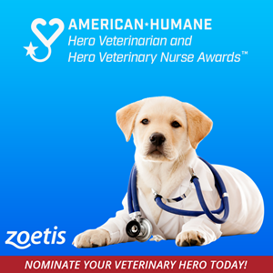 Nominations Open Today for the 2022 American Humane Hero Veterinarian and Hero Veterinary Nurse Awards™