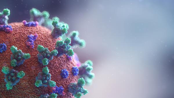 Visualisation of the Covid-19 virus. Photo by Fusion Medical Animation on Unsplash. 