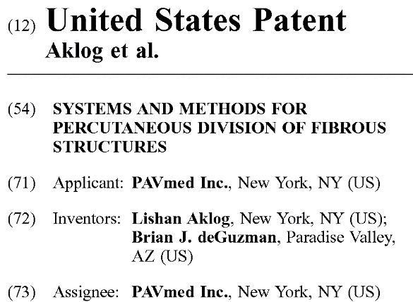 patent