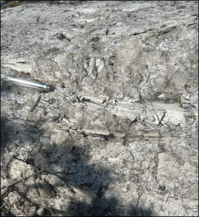 Massive Light Grey Prismatic Spodumene Crystals